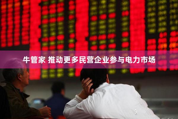 牛管家 推动更多民营企业参与电力市场